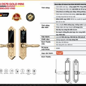 Khóa điện tử Hubert Đại Sảnh HB DS79 Gold Mini